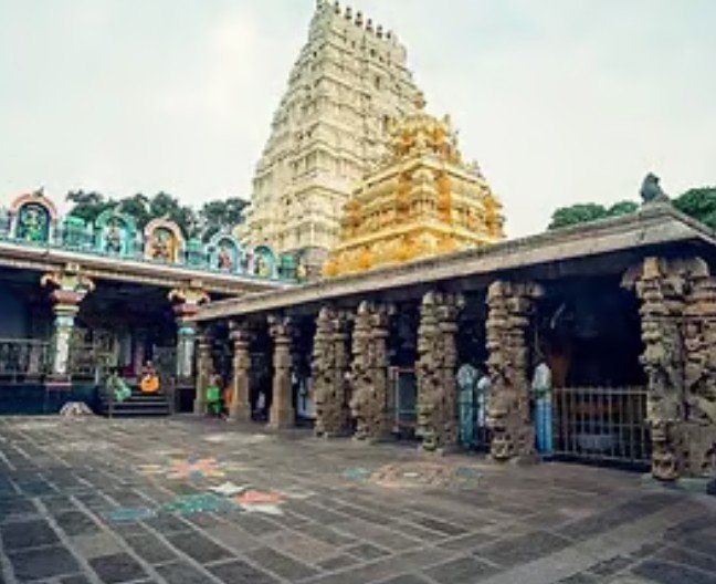 screenshot 2026 02 19 001255