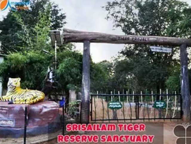 screenshot 2026 02 19 001444